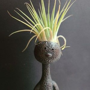 Meet your Posher, Colleen